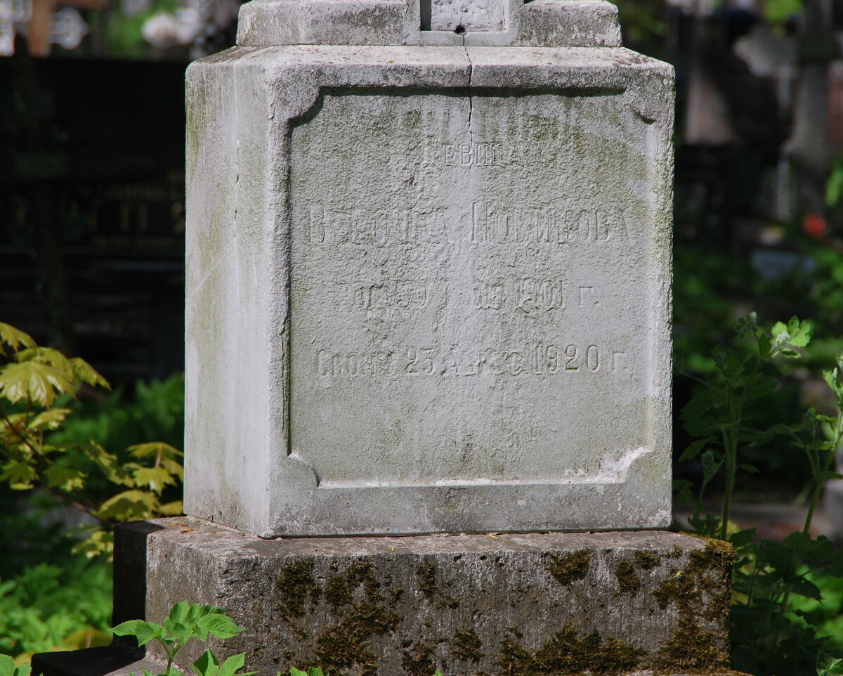 DSC_0084.jpg