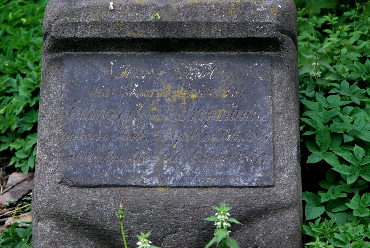 DSC_0354.JPG