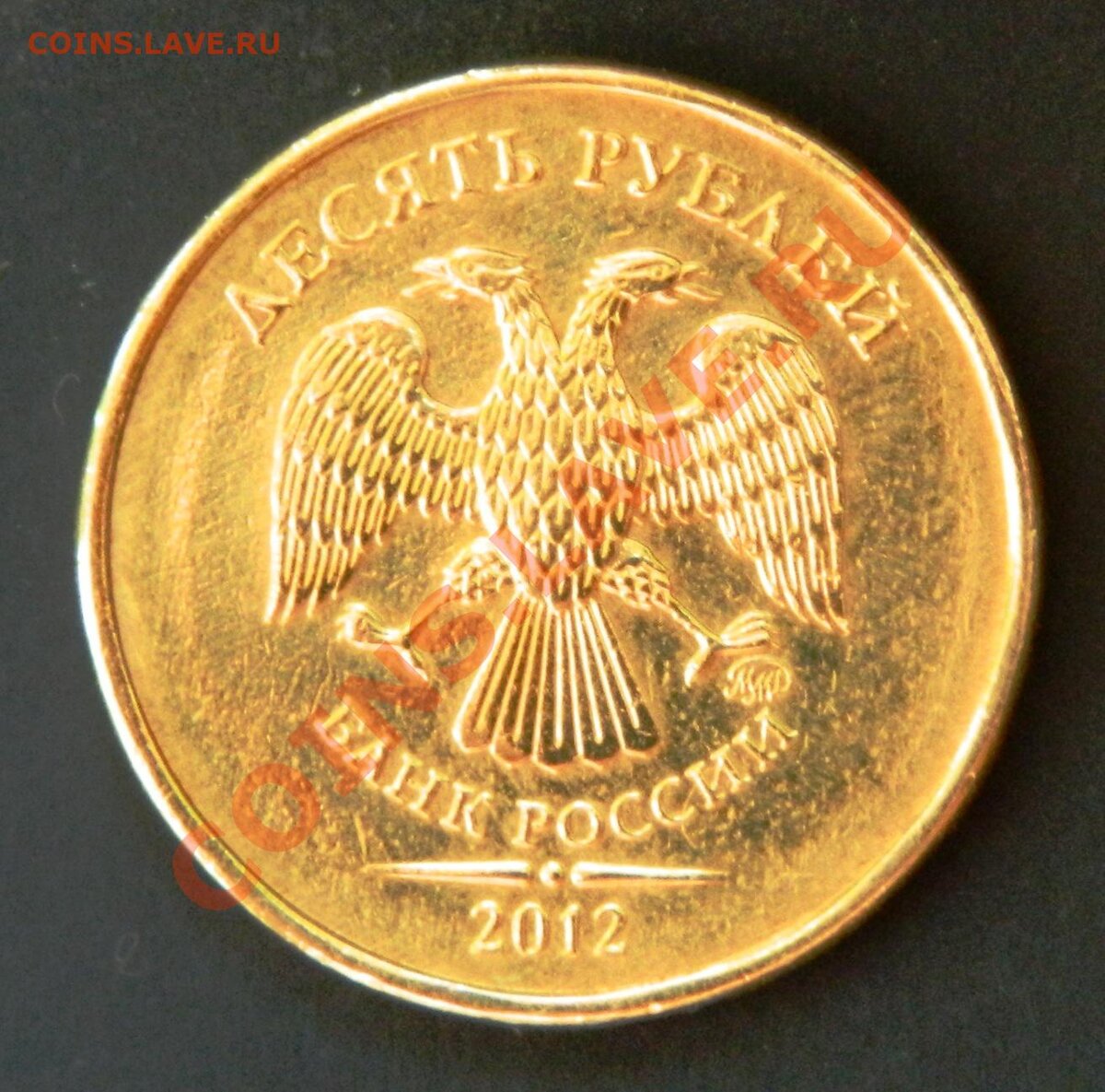 DSCN1639.JPG