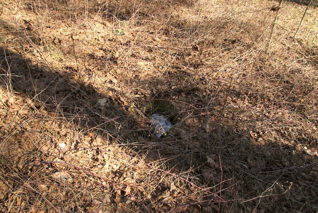 dsc09384.jpg