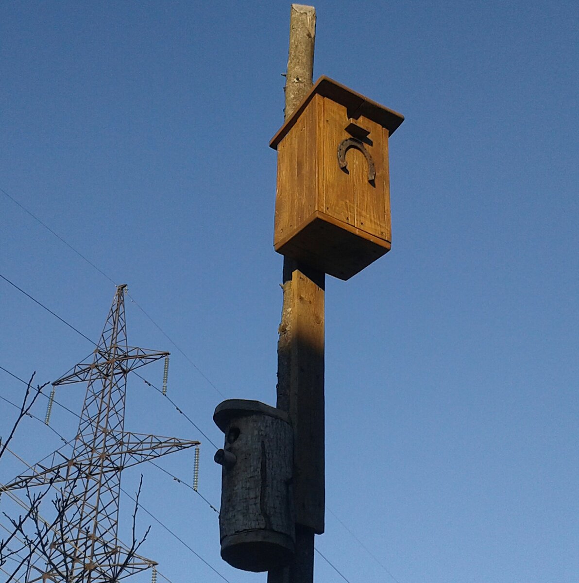 20150316_172117-1.jpg