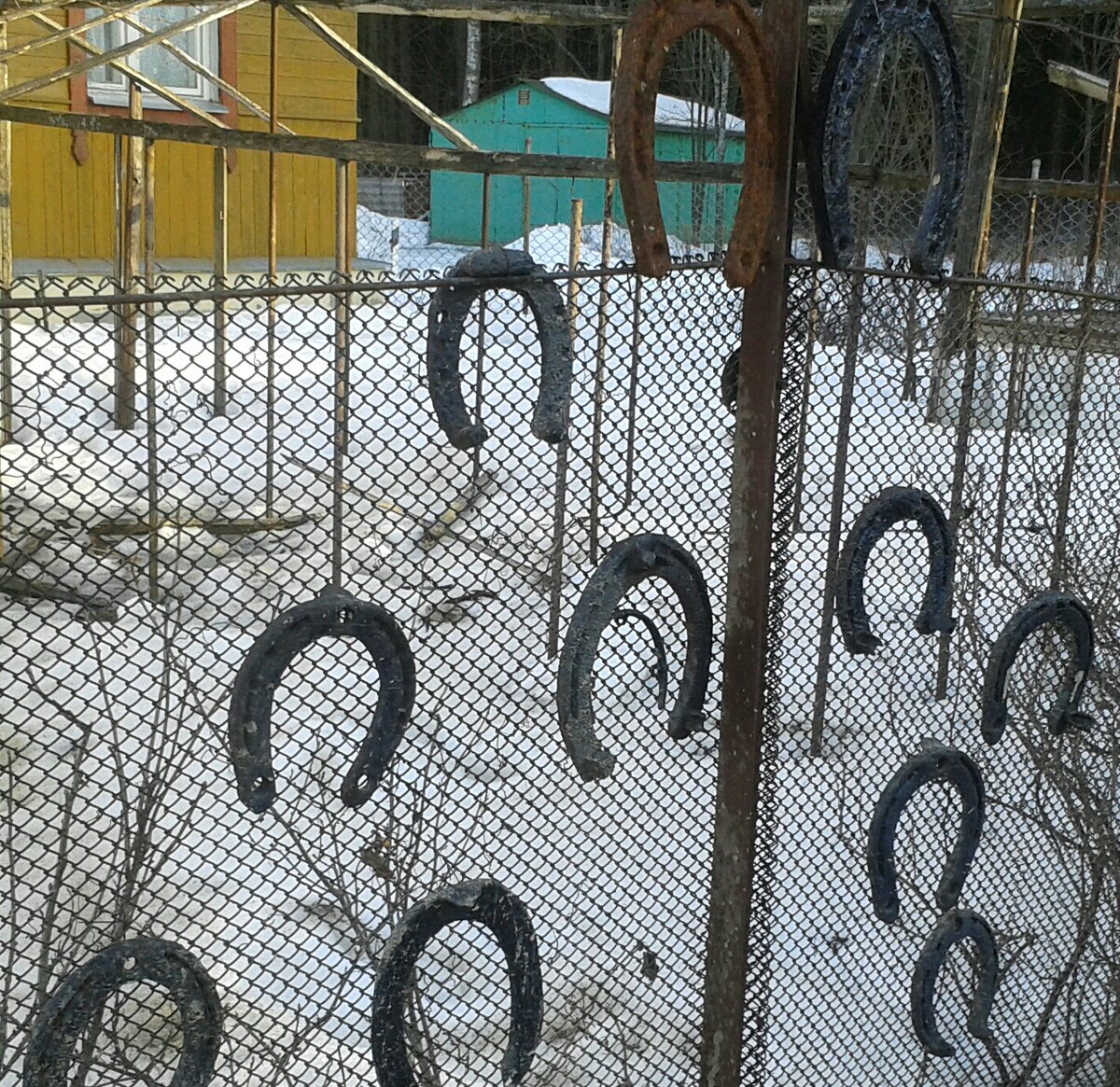 20150316_170223-1-1-1.jpg