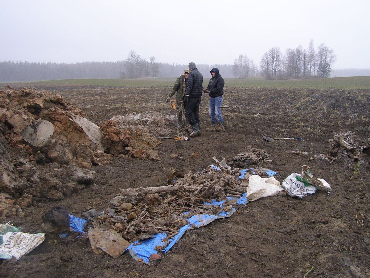 mart 2015 190.jpg