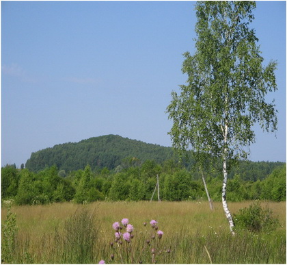 Gora.jpg