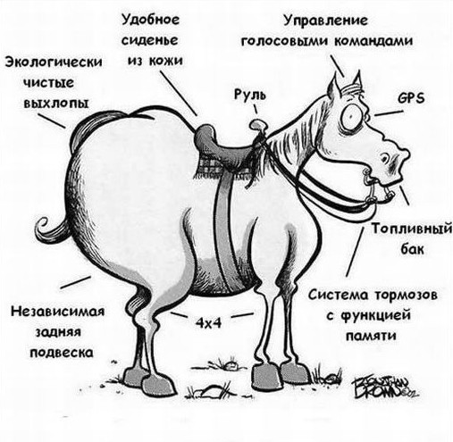c54a6e48dea1.jpg