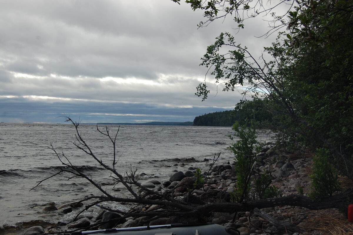 DSC_6136.JPG