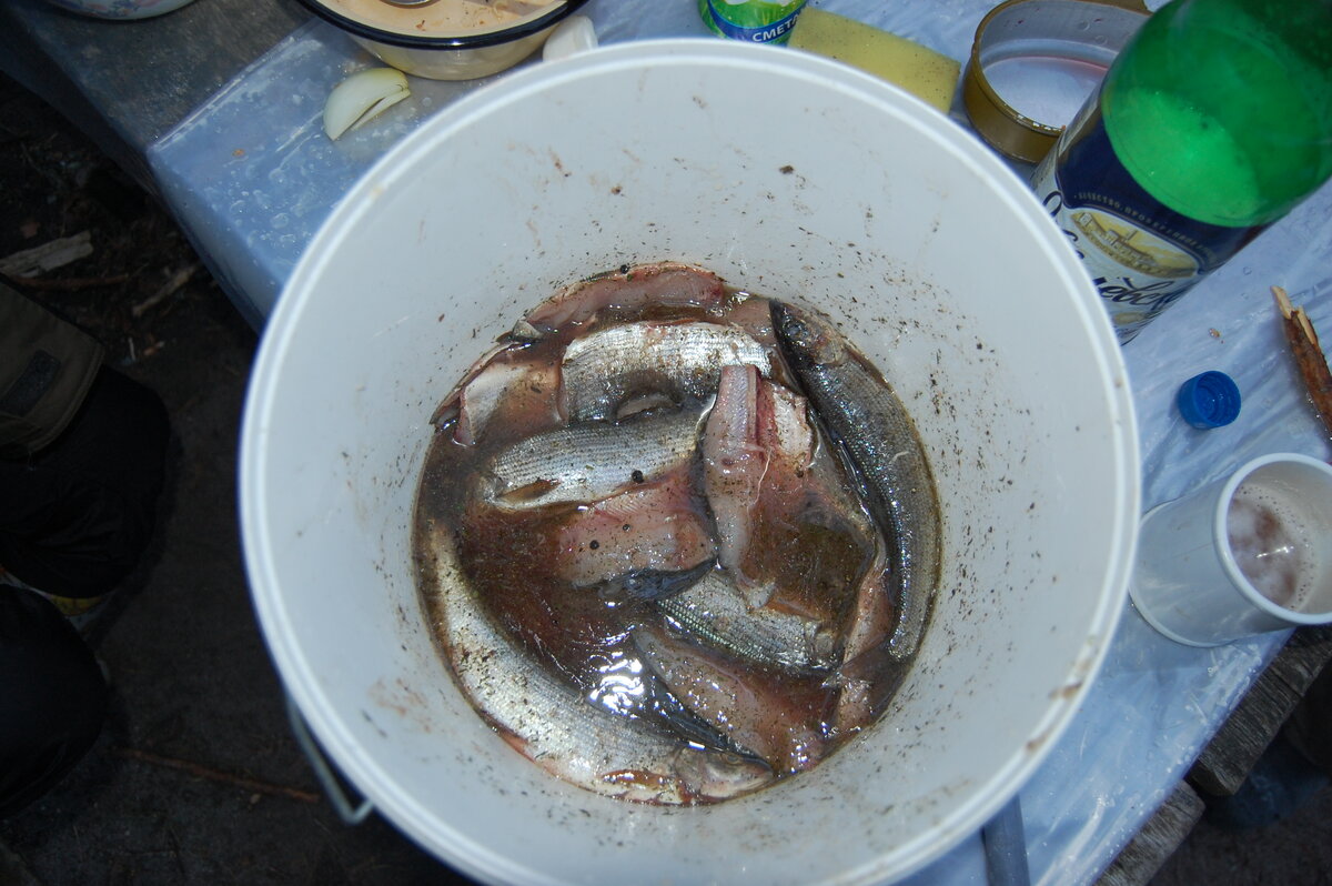 DSC_6195.JPG