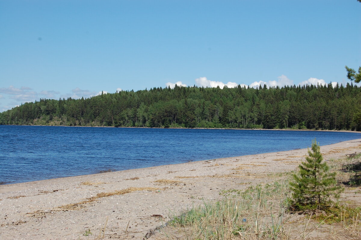 DSC_6220.JPG
