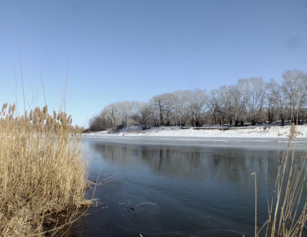 DSCF1647.JPG