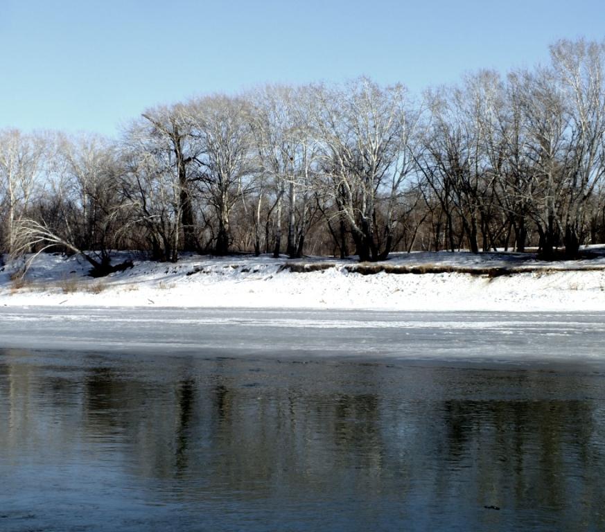 DSCF1650.JPG