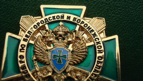 15955814.jpg