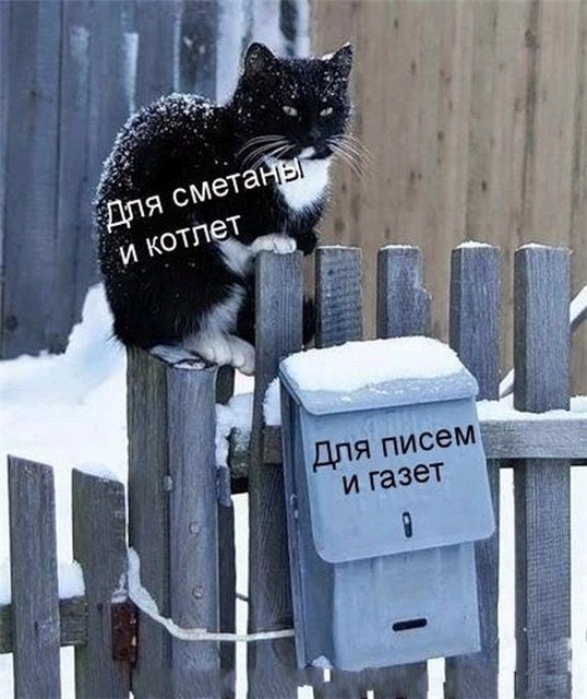 Безымянный.jpg