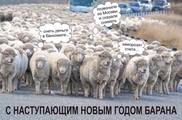 1nrOMN-_a_c.jpg