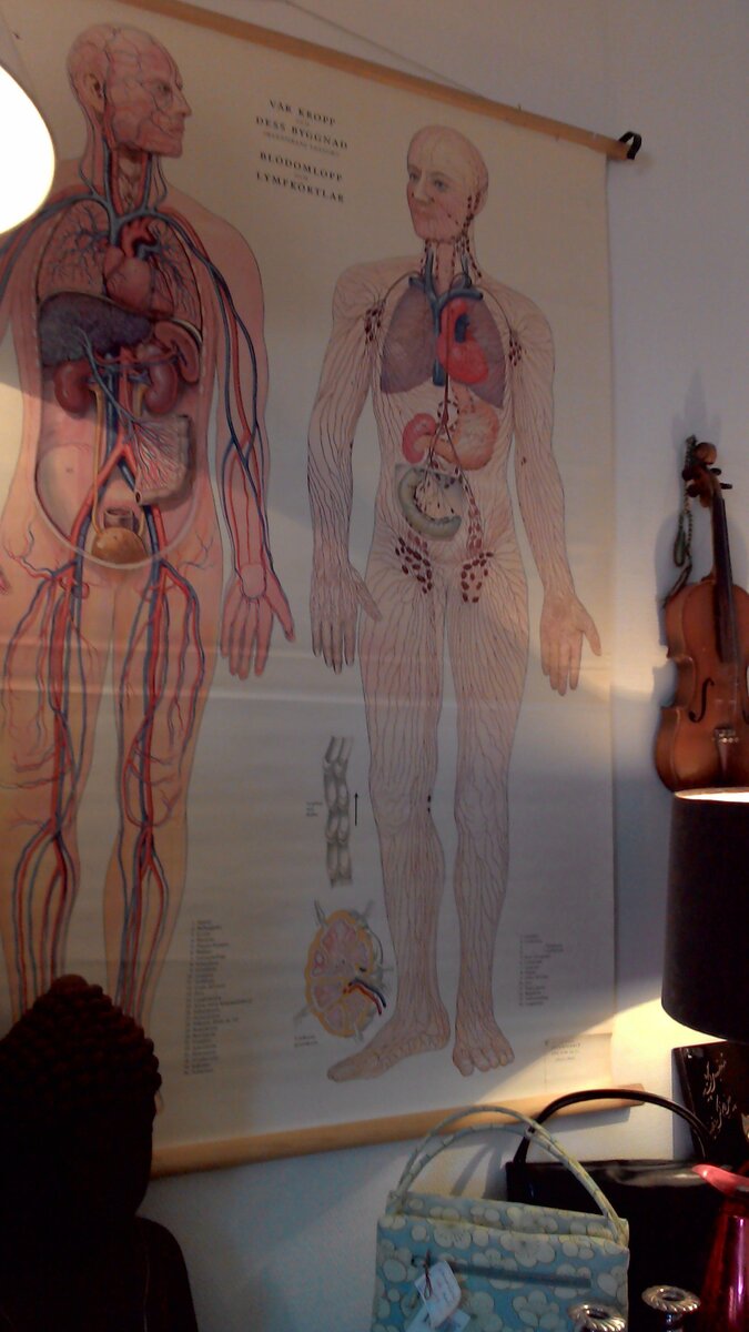 P_20150401_134903.jpg