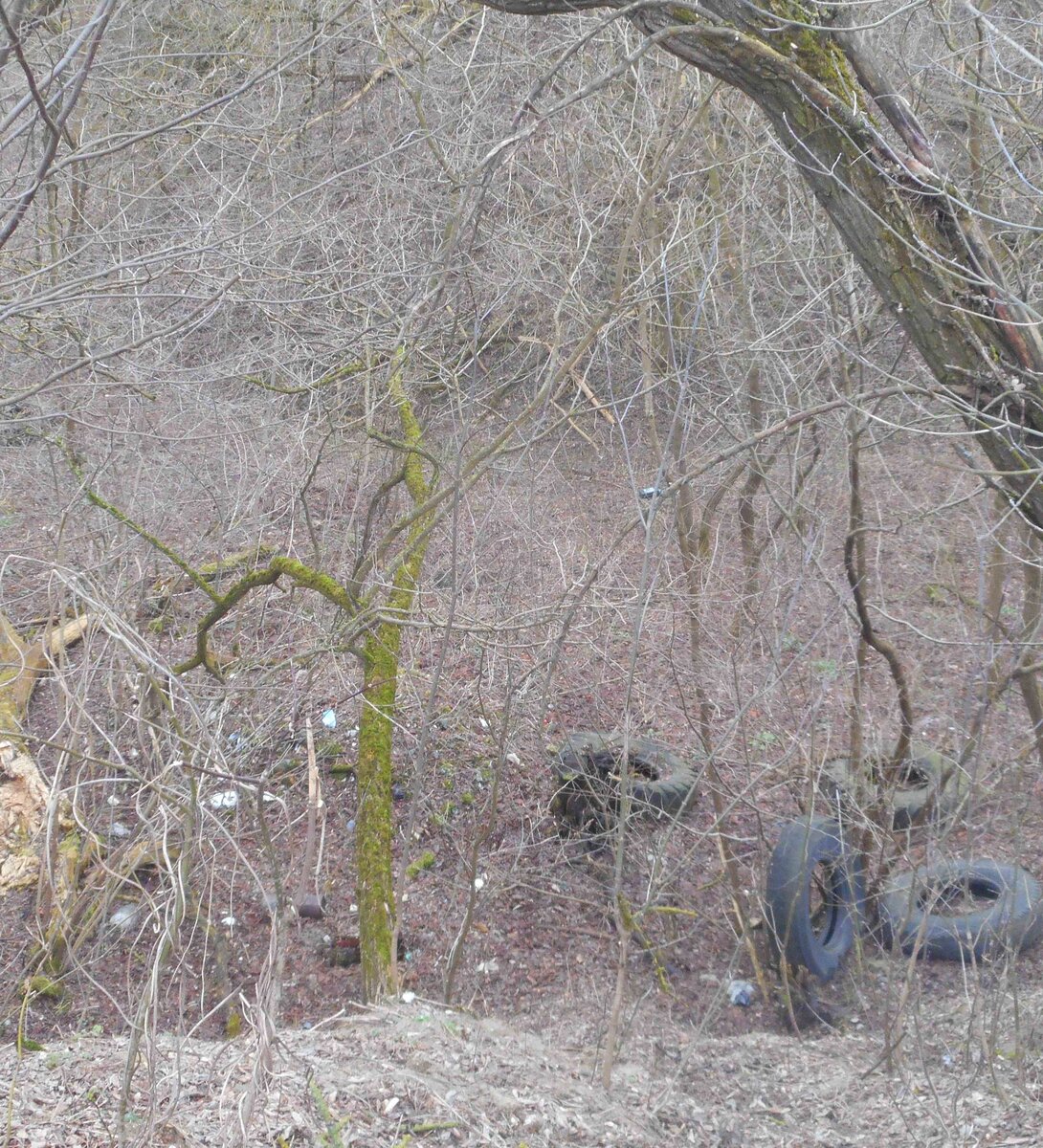 DSCN0826.jpg