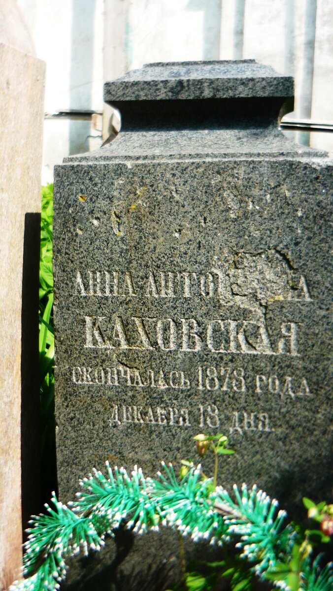 P1040084.JPG