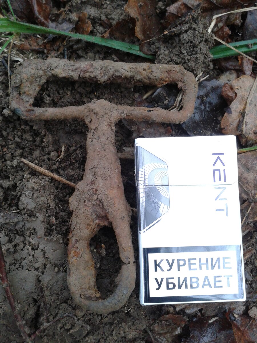 20131108_120544.jpg