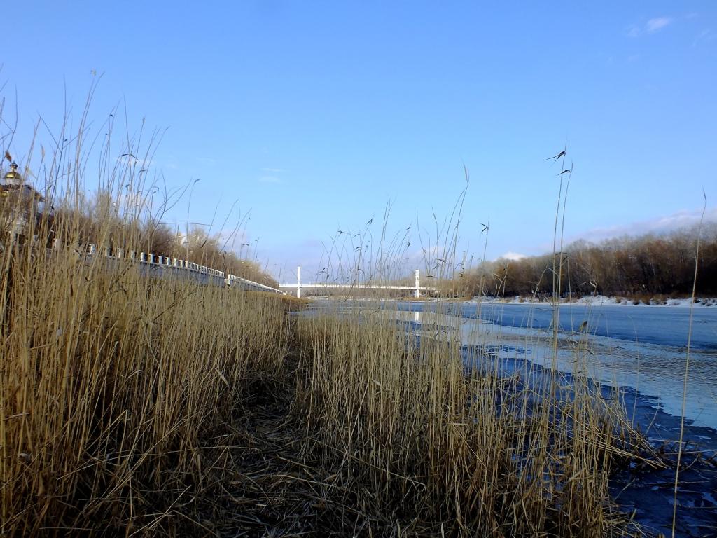 DSCF1810.JPG