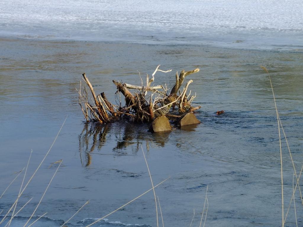 DSCF1823.JPG