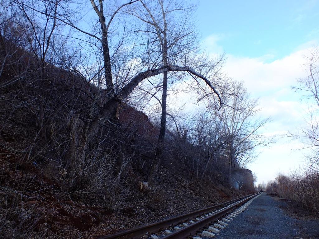 DSCF1828.JPG
