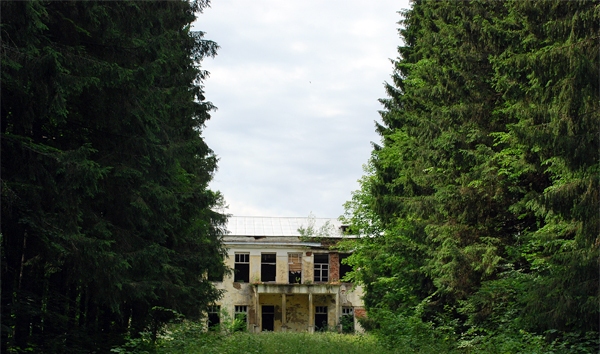 111.jpg