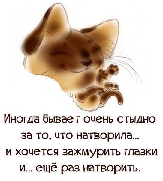 k6SasI_li94.jpg