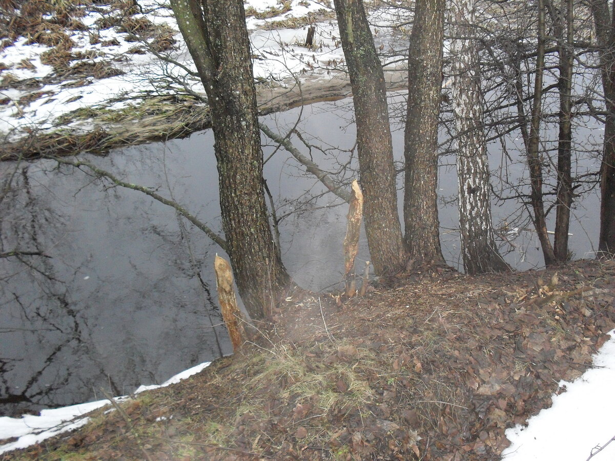 SDC12321.JPG