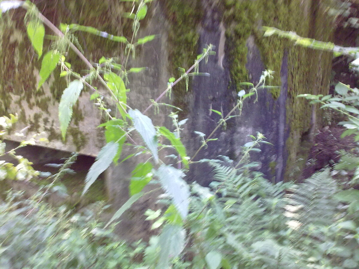 250720111160.jpg