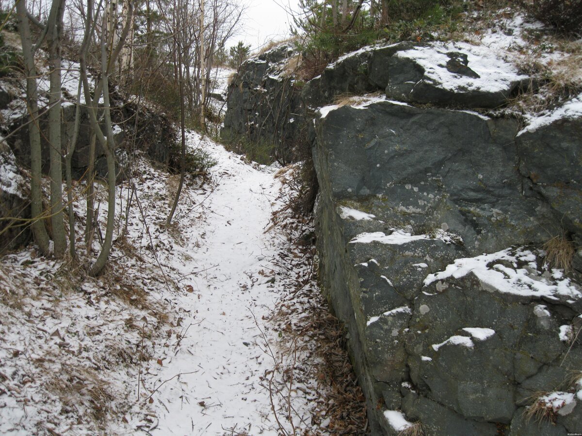 a855eab0cd8a4089227159980f328d35.jpg