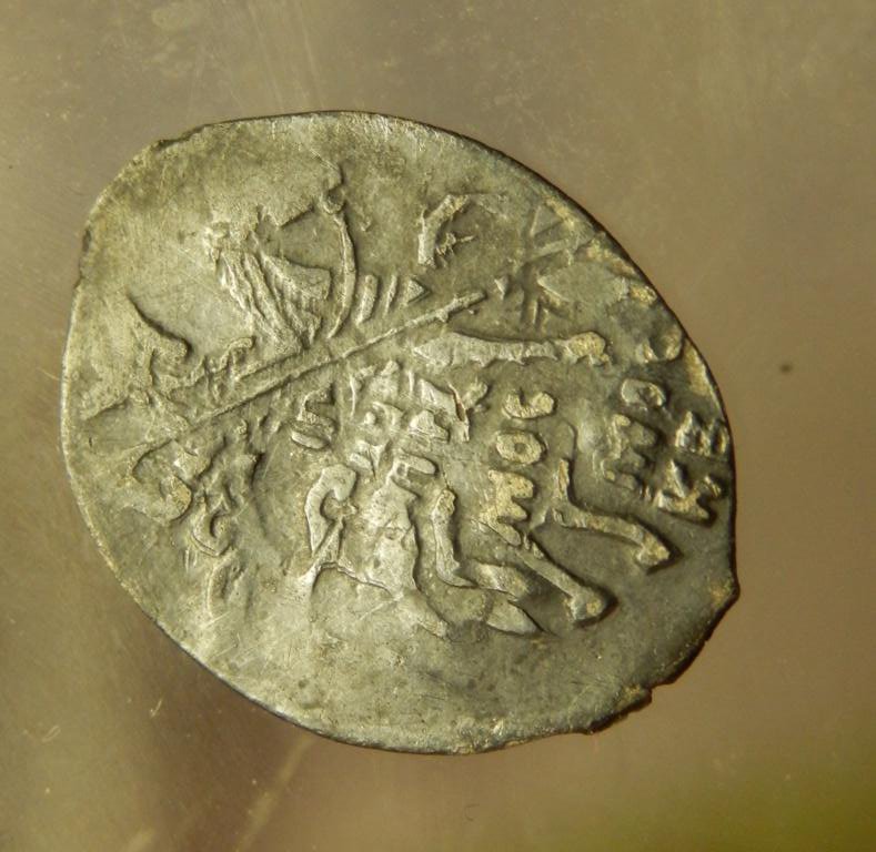 P4191036.JPG