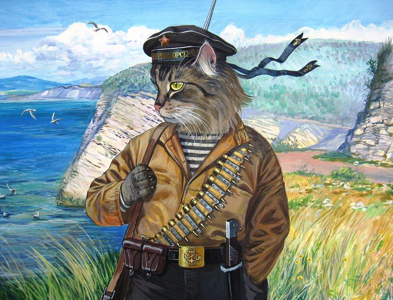 aleksandr-zavalij-morskoj-kotik.jpg