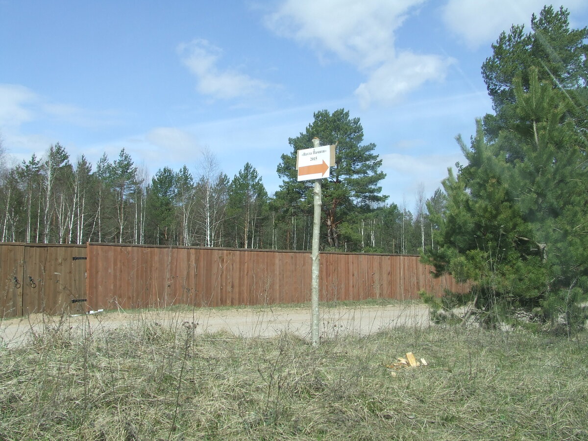 DSCF6345.JPG