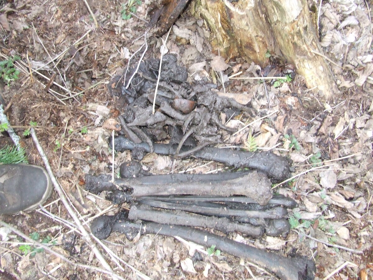 DSCF6393.JPG