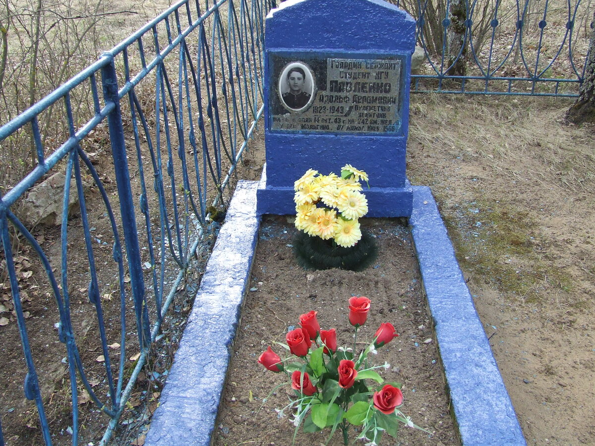 DSCF6411.JPG