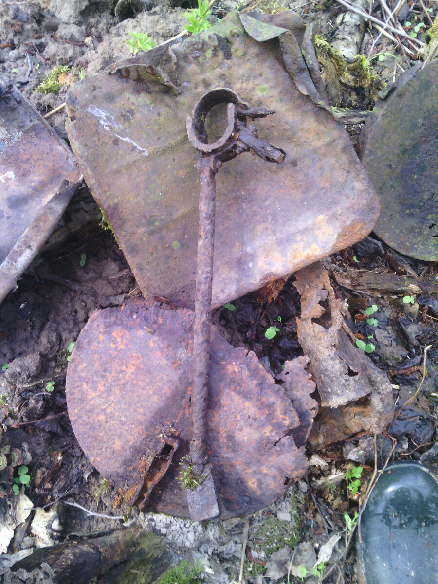 IMG_20100102_101814.jpg