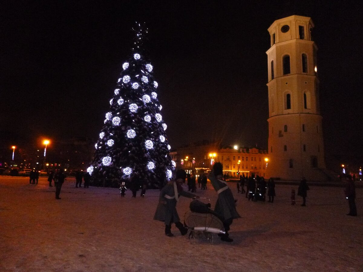 P1020429.JPG