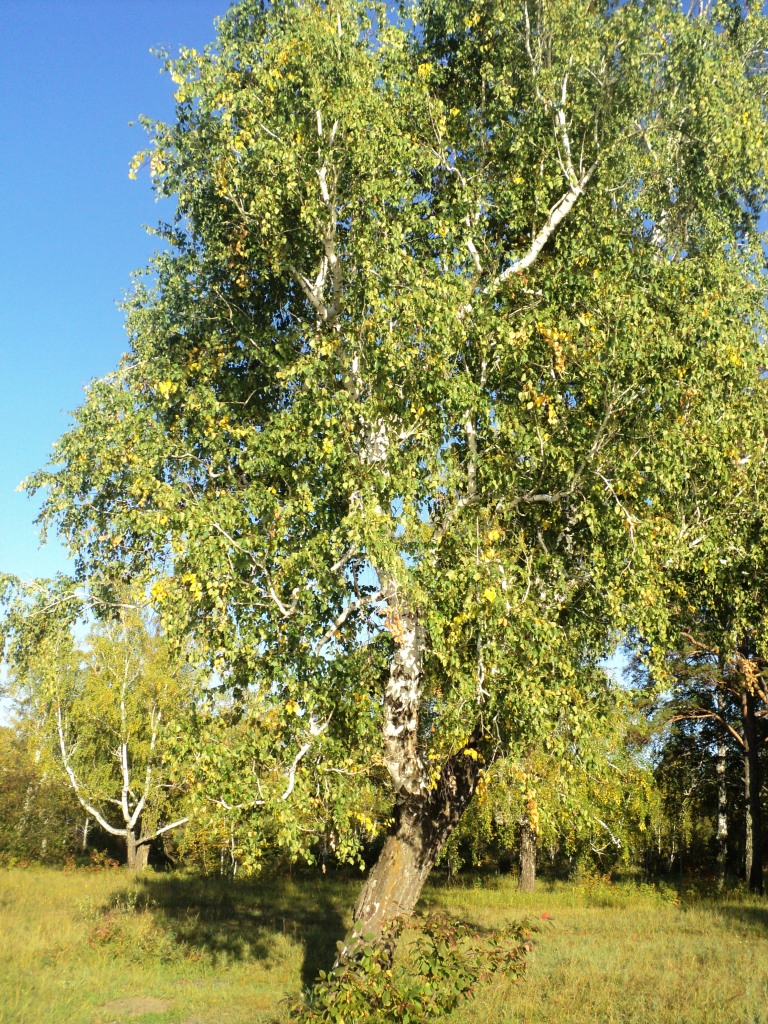 479.JPG