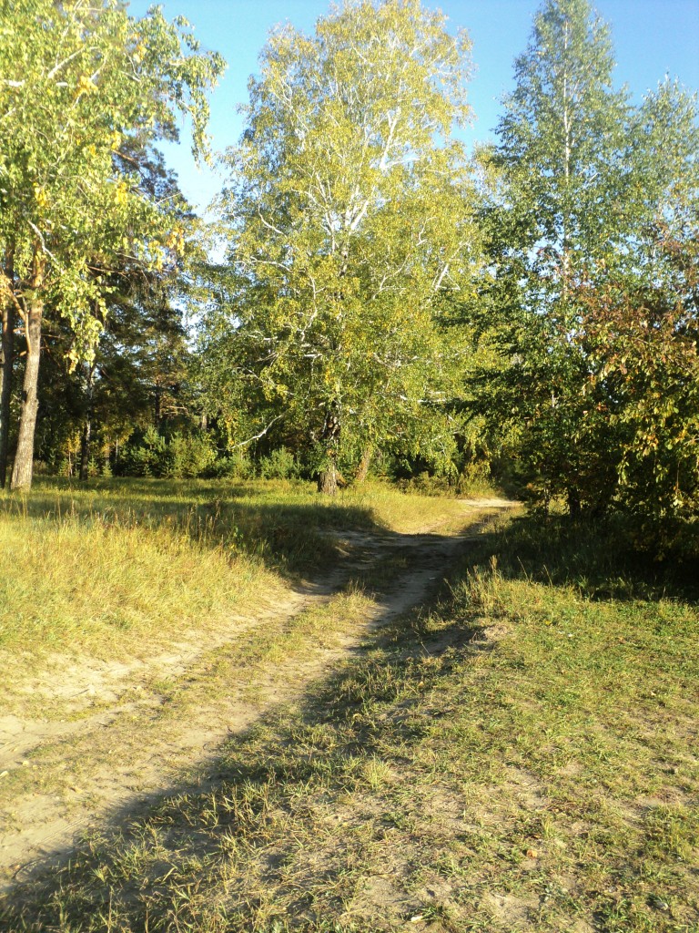480.JPG
