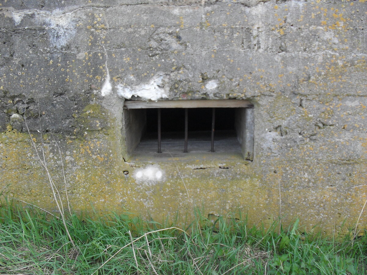 SDC13164.JPG