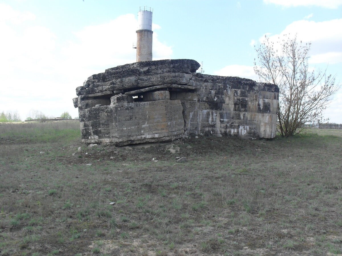 SDC13170.JPG