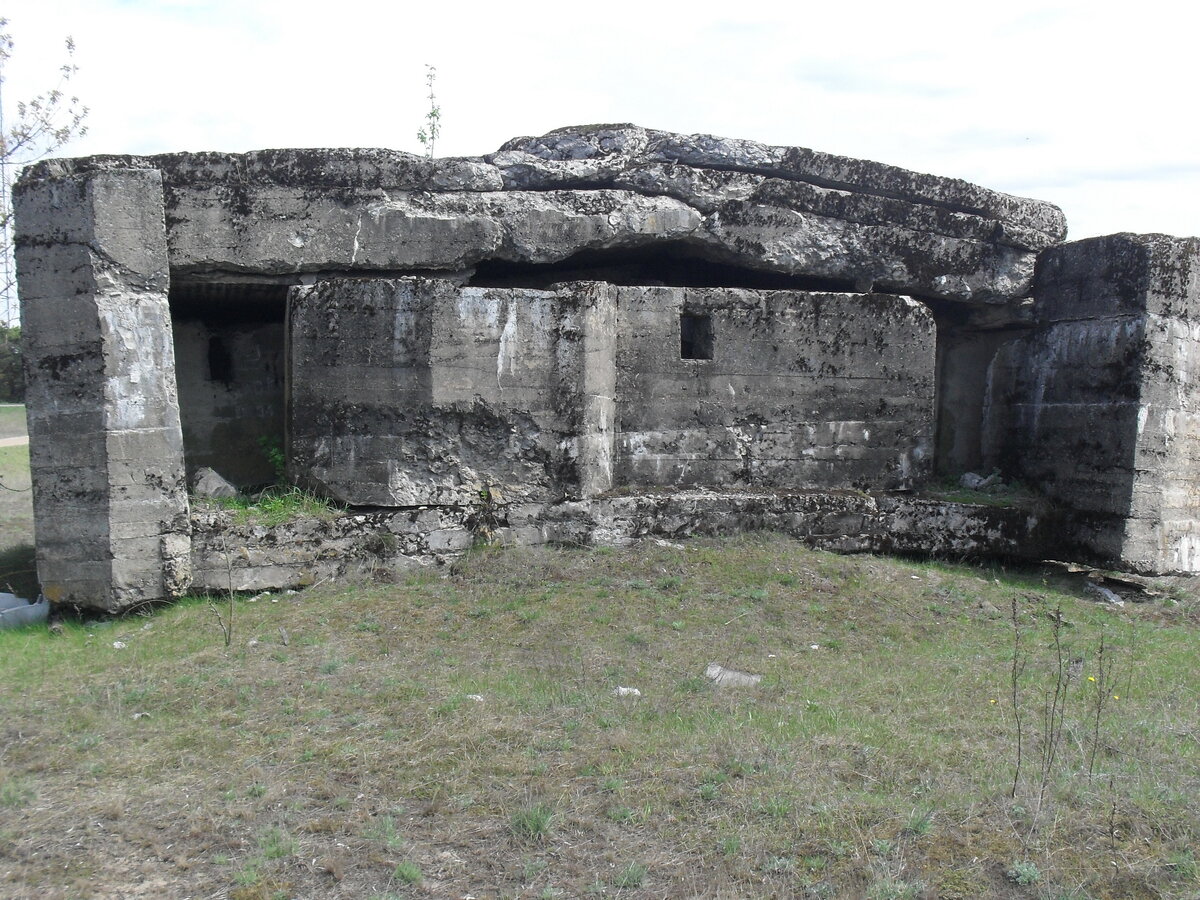 SDC13173.JPG