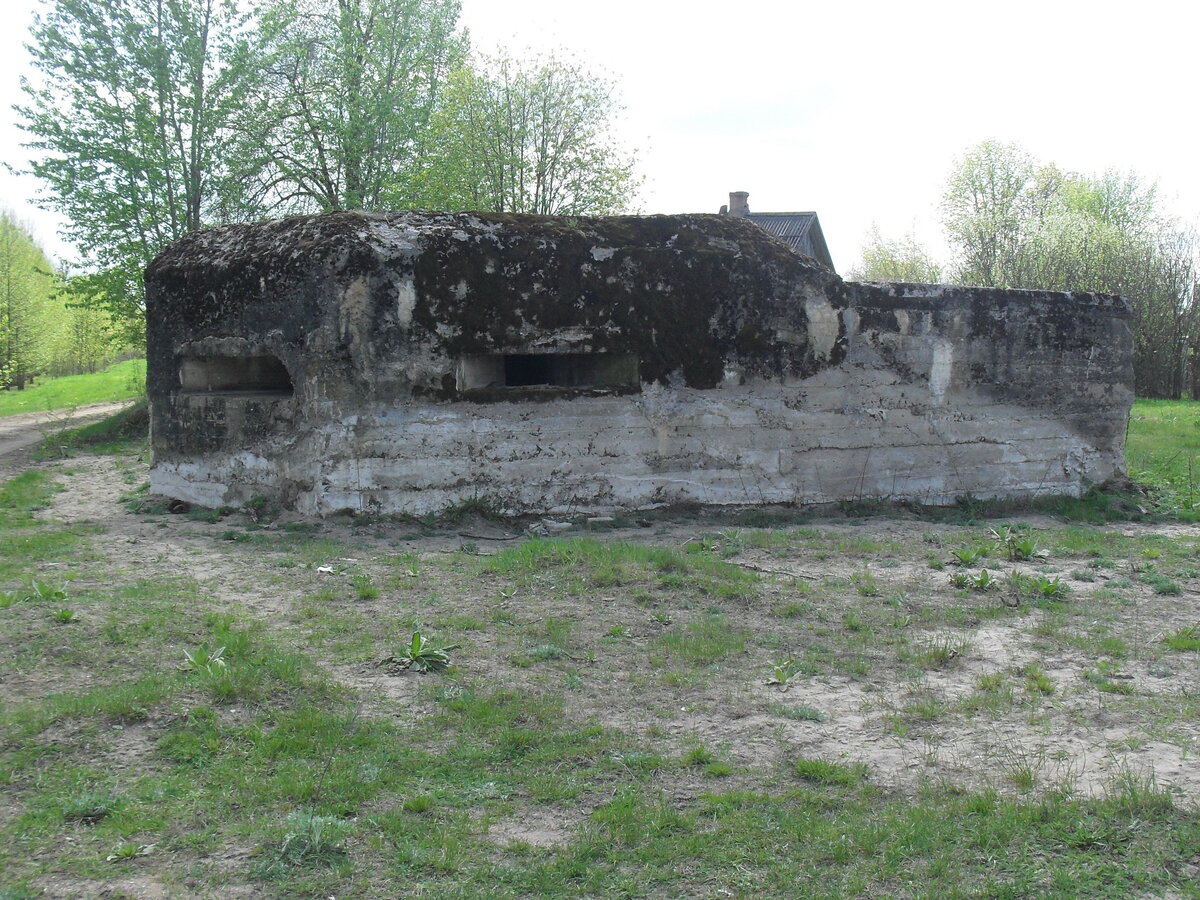 SDC13182.JPG