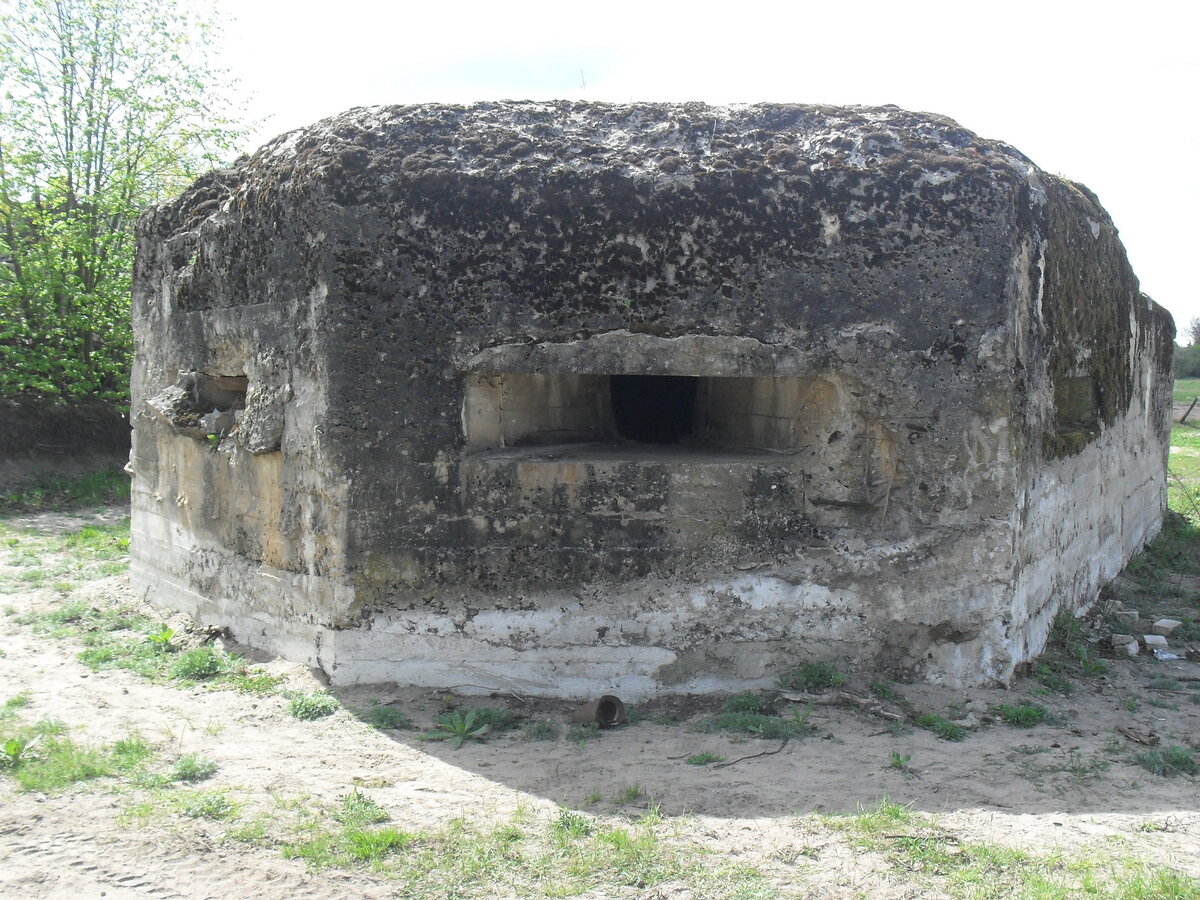 SDC13183.JPG