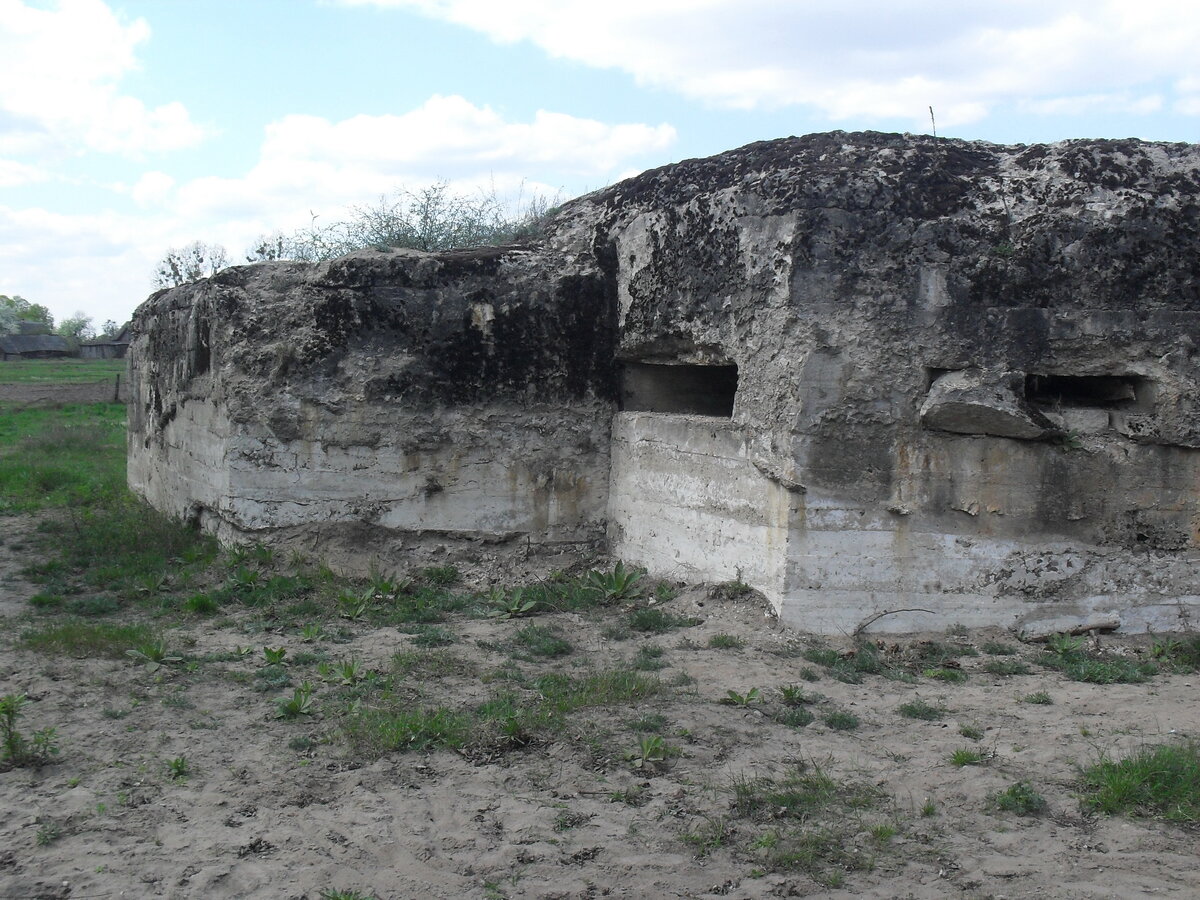 SDC13185.JPG
