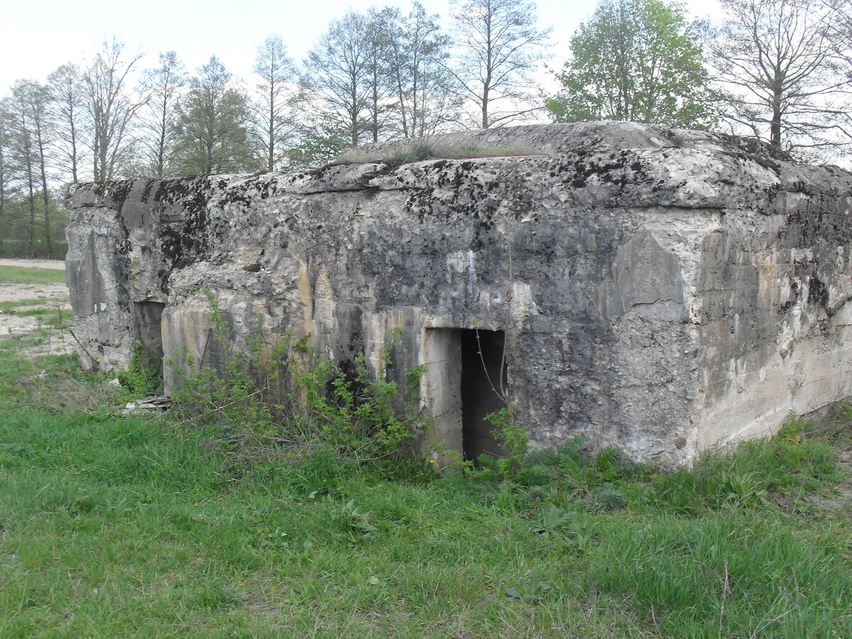 SDC13186.JPG