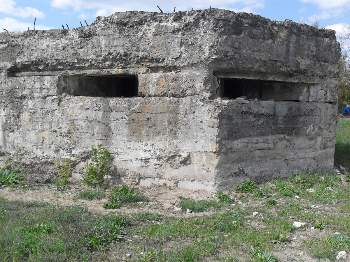 SDC13199.JPG