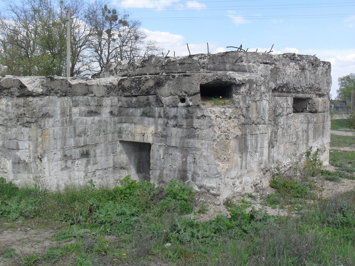 SDC13201.JPG