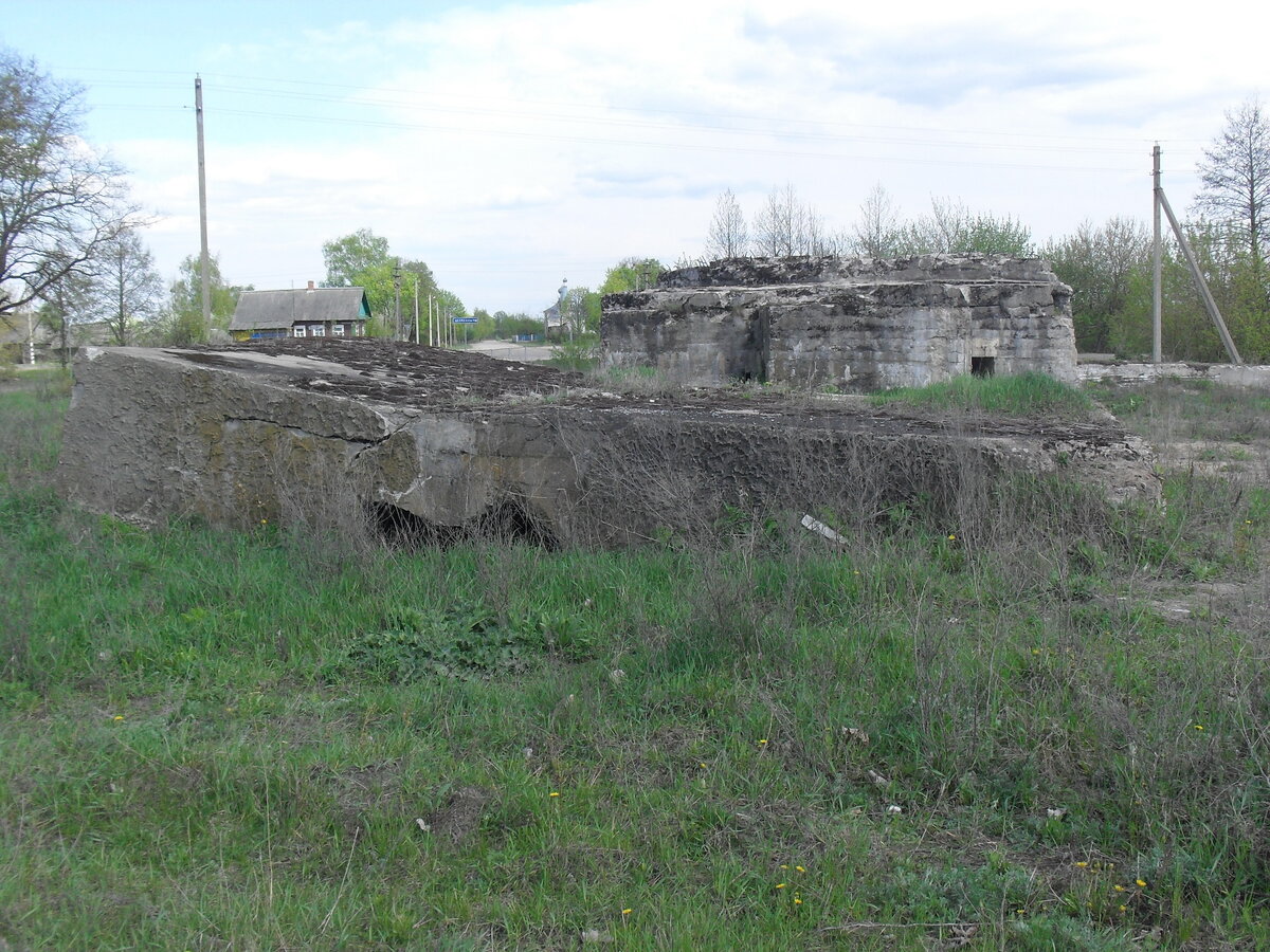 SDC13205.JPG