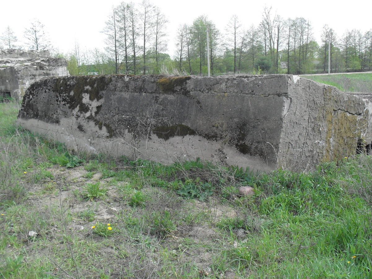 SDC13206.JPG