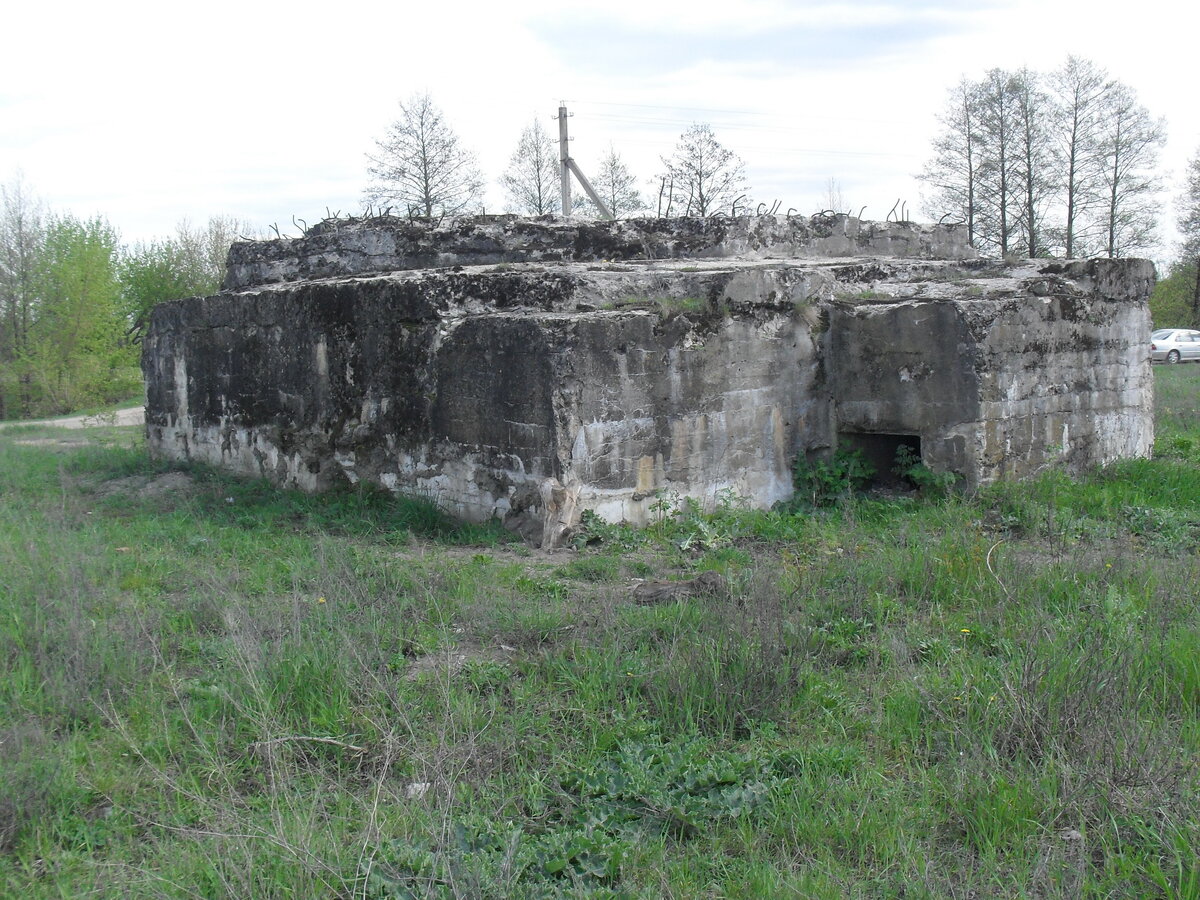 SDC13207.JPG